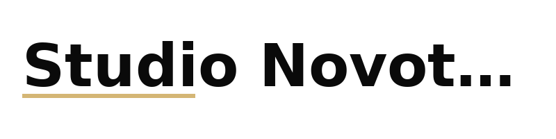 Studio Novotný logo